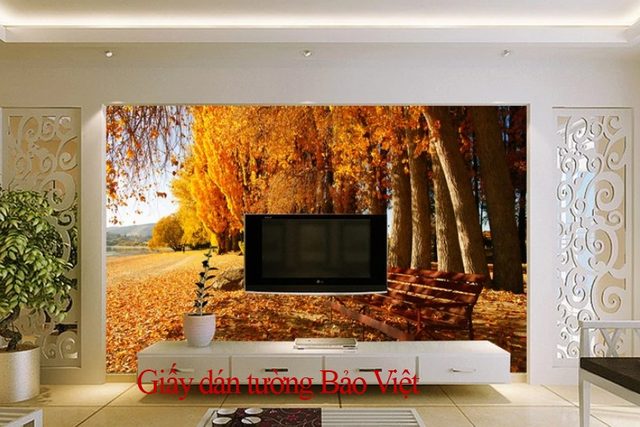 Wallpaper of living room Tr144