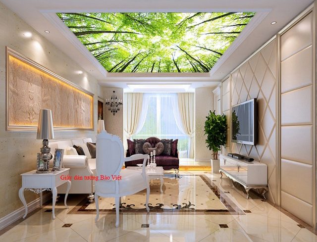Giấy dán trần nhà phòng khách C089