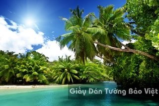 Tranh Giấy Dán Tường 3D Phong Cảnh Bãi Biển BE 1501-6