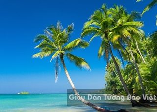 Tranh Giấy Dán Tường 3D Phong Cảnh Bãi Biển BE 1501-5
