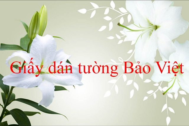 giấy dán tường phòng ngủ 13883645