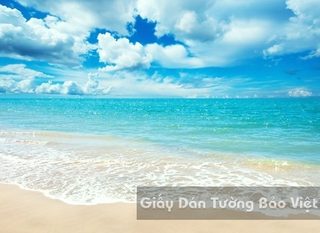 Tranh Giấy Dán Tường 3D Phong Cảnh Bãi Biển B002-1