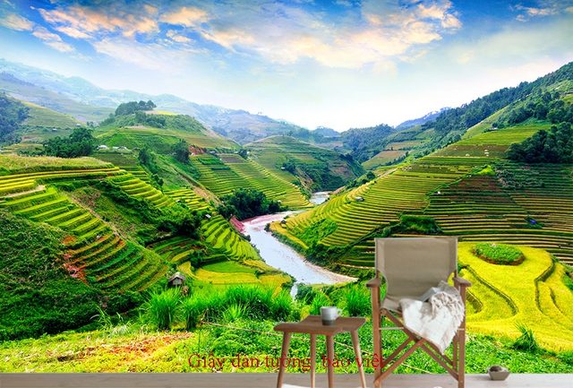 Beautiful living room wallpaper Fm044