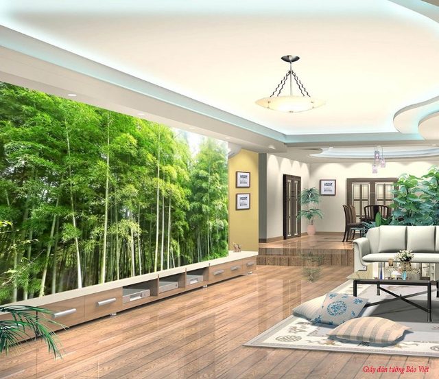 Wallpaper living room V099