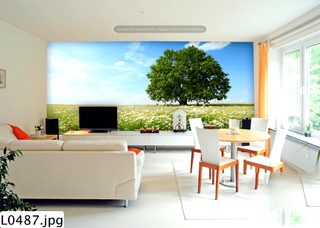 Vì Sao Chọn Giấy Dán Tường 3d Để Trang Trí Phòng