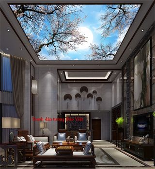 Tranh 3D dán trần nhà C086