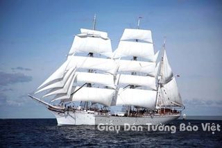 Tranh Giấy Dán Tường 3D Phong Cảnh Bãi Biển B004-1