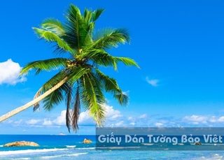 Tranh Giấy Dán Tường 3D Phong Cảnh Bãi Biển BE 1501-2