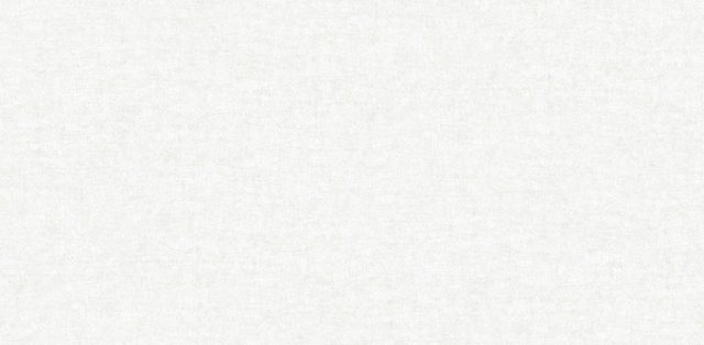 Giấy dán tường hàn quốc 61007-1