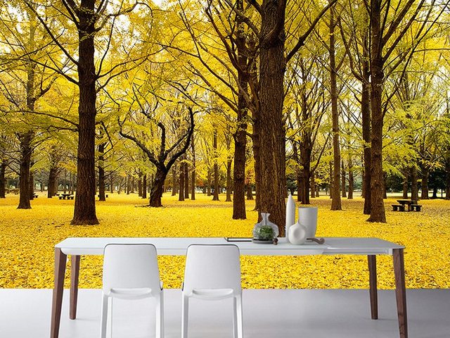 Natural Landscape Wall Murals