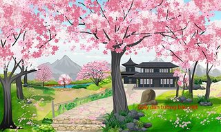 Giấy dán tường 3D hoa anh đào ART002