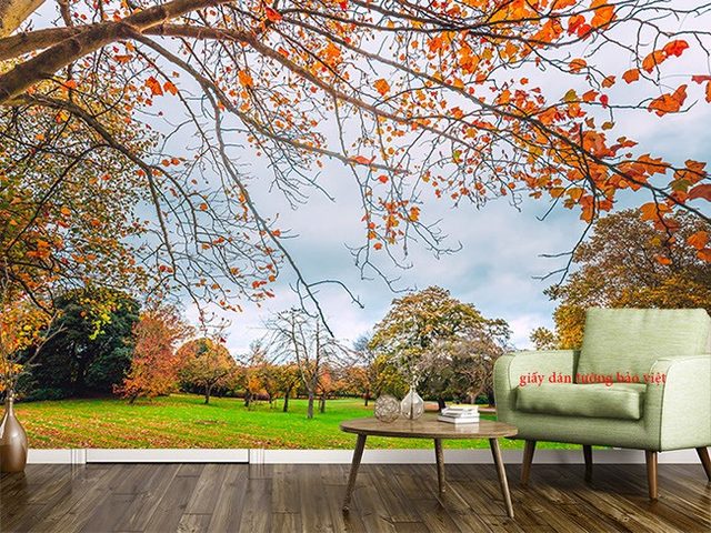 Wallpaper living room Tr210