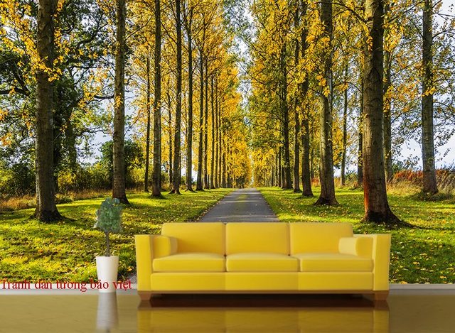 Wallpaper of natural landscapes Tr186