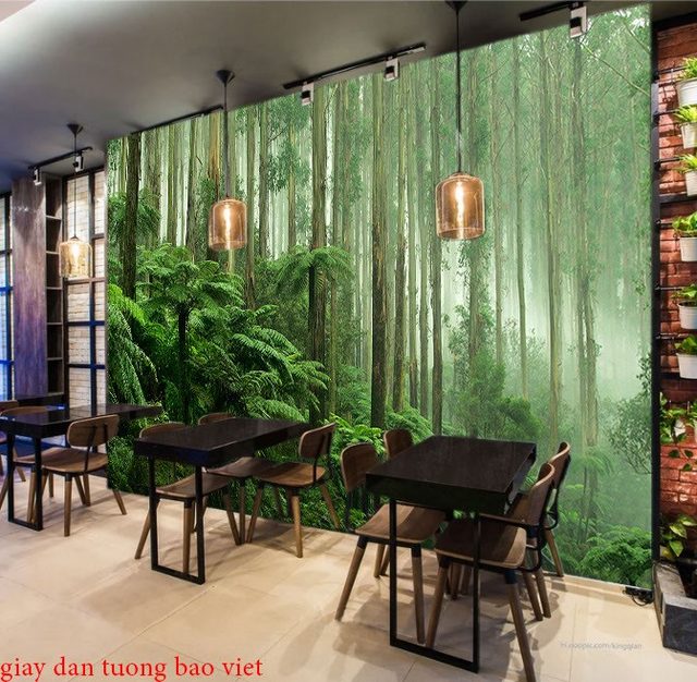 Wallpaper living room Tr254