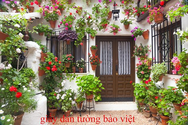 Giấy dán tường phòng khách Fm081