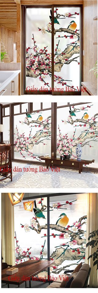 Dán kính đẹp K057