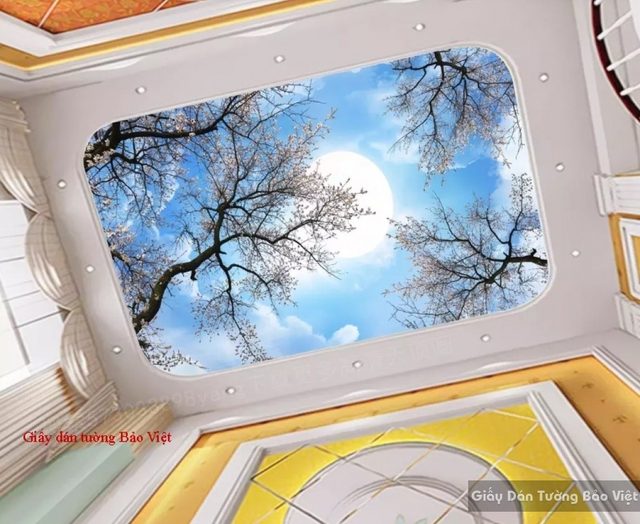 Giấy dán trần nhà C086